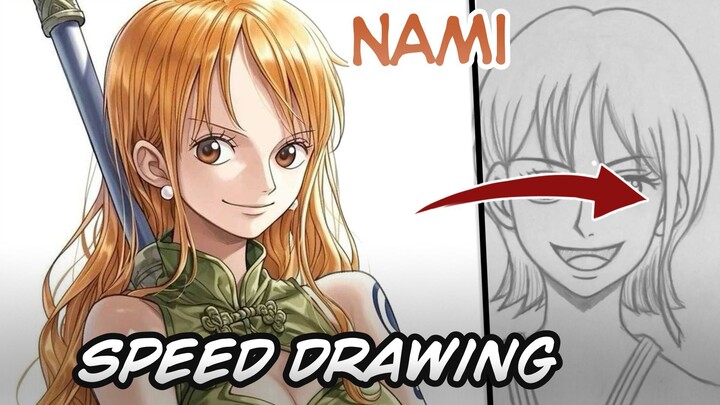 nami si kucing pencuri, pencuri hati nakama cuaks