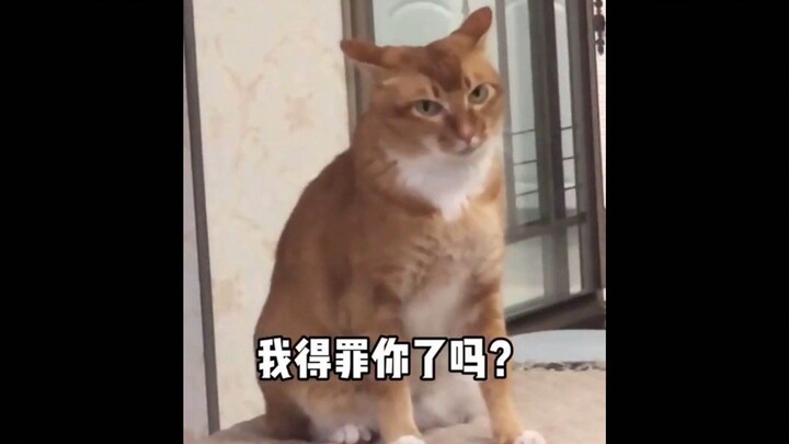 Aku hanya duduk tenang di samping sambil main ponsel, pas aku mengangkat kepala............