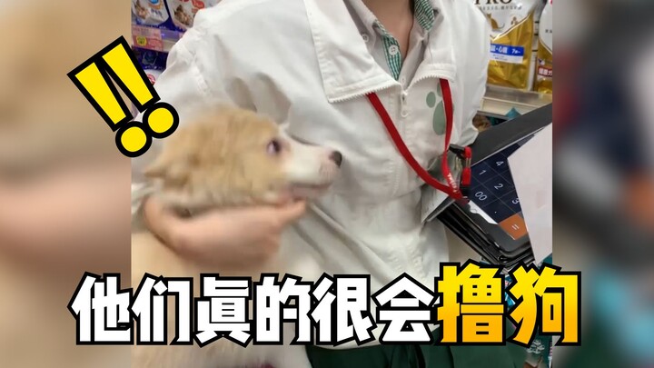 พาน้องหมาไปเยี่ยมบ้าน ท่าทางการลูบขนน้องหมาของสาวน้อยช่างชำนาญเสียจริงๆ