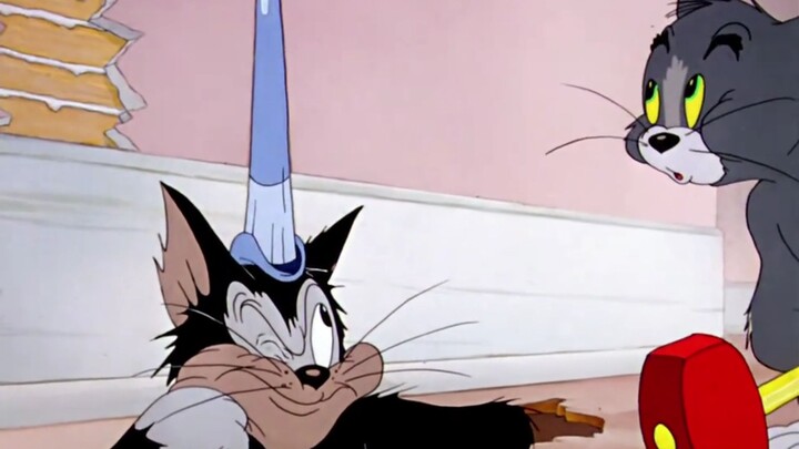 ☝️🤓Sao đỉnh đầu của bạn lại nhọn thế⚡⚡⚡