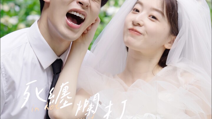 Pilihlah orang yang mencintaimu dengan cara yang terang-terangan dan jujur.