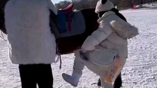 A Northeastern big brother invited a Southern "little potato" to ride a horse, but due to insufficie