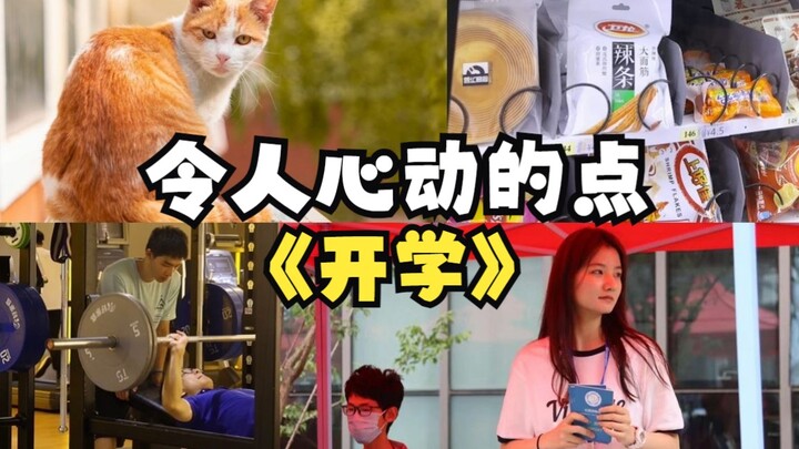 Một tháng sau khi tựu trường, liệu một ngôi trường như Đại học Khoa học và Công nghệ Trung Quốc thế 