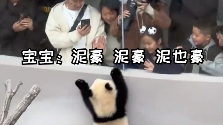 Baby: Ni Hao, Ni Hao, Ni Ye Hao!