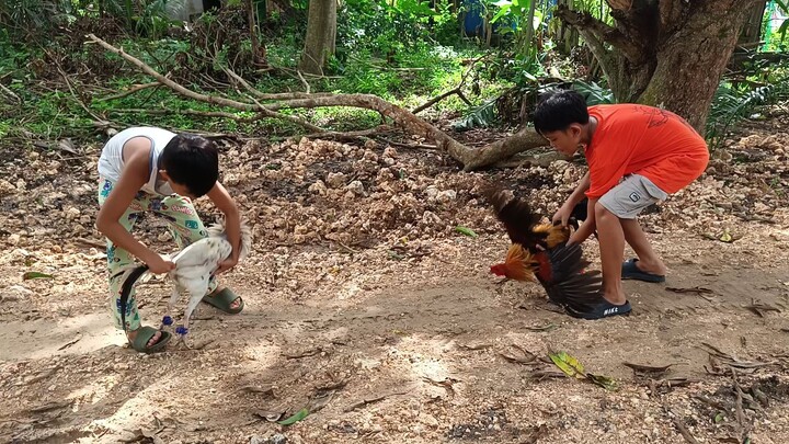 JRP White VS Navajero Gilmore spar