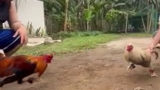 327614056_4262253760565233_8702613938810336560_n