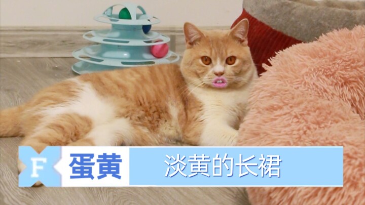 Nếu cô mèo đến từ Quảng Tây tham gia Thanh Xuân Có Bạn 2, với chiếc váy dài màu vàng nhạt và mái tóc