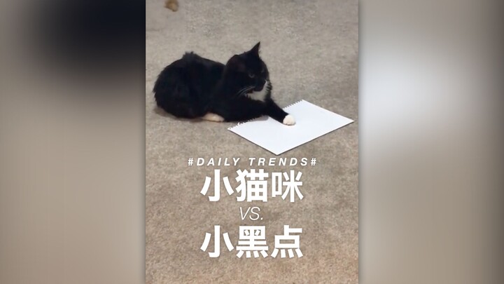 I heard that if you draw a tiny black dot on a white sheet of paper, the little kitten will cover it
