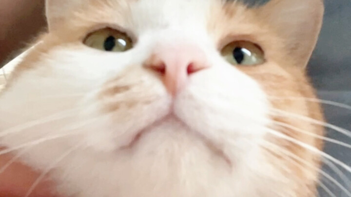 It took countless lifetimes for us to finally meet～