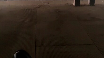 يا أخي ساكي، لقد أصبحت مشردًا حقًا، هههه، معدني واعد جدًا!