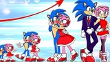 Sonic dan Amy awalnya adalah pasangan yang manis, tetapi sebuah tragedi menyebabkan mereka berpisah.