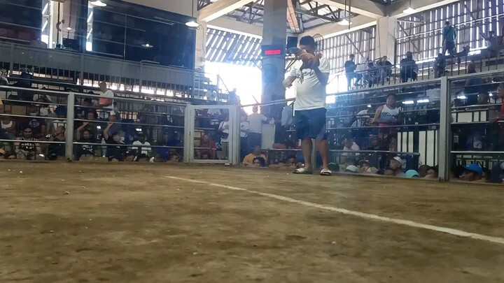 San Pedro colliseum 2