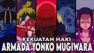 6 NAKAMA YANG SUDAH DIKONFIRMASI MEMILIKI HAKI