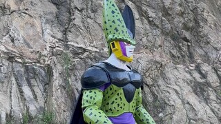 Complete appearance