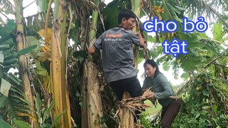 Tư Cà Khịa Khóc Thét Vì Bị Sáu Sành Làm Điều Này Khi Đang Kiếm Củi