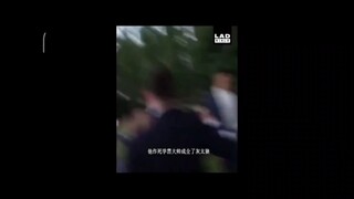 [Penyelamatan Luar Biasa] Situasi Saat Ini dari Penggemar Happy Grey