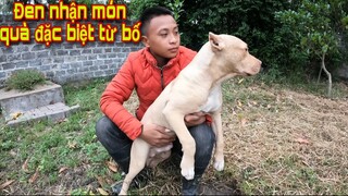 Cu Đen Bất Ngờ Nhận Món Quà Đặc Biệt Từ Bố Nuôi Săn Bắt Ẩm Thực Vùng Cao | Sâu TV