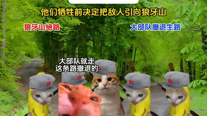 Ngũ tráng sĩ núi Lang Nha, bạn còn nhớ câu chuyện về họ không? #meme_mèo #tiểu_kịch_trường_meme_mèo 