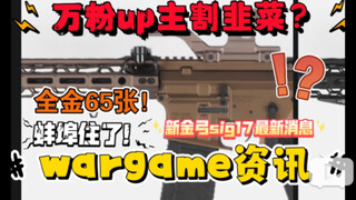 【wargame资讯】万粉up主这么割韭菜？！新金弓sig17大货提前需知！