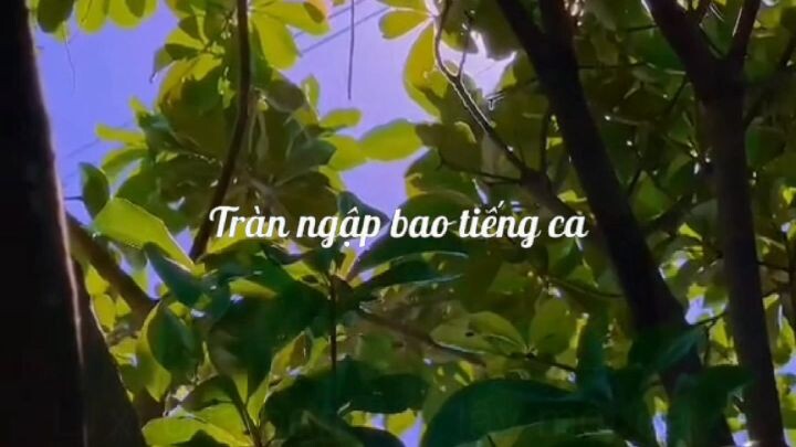 Chúc mừng năm mới nháaaa