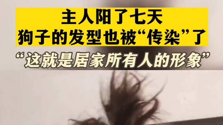 December 25, Liaoning: The owner was sick for seven days and couldn’t take care of the dog—look at t