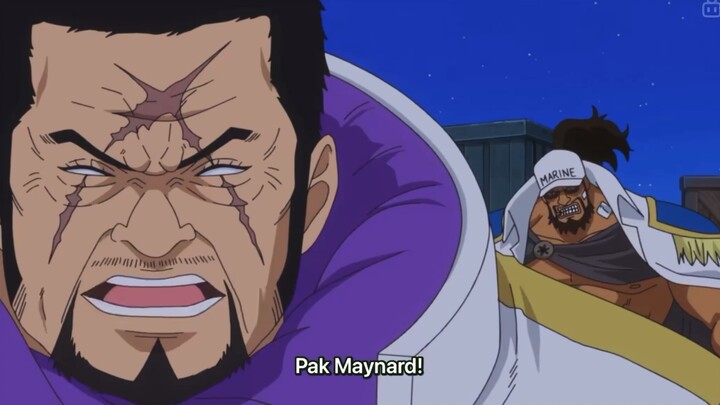 Fujitora (Issho) 🥶