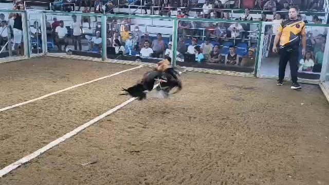 lakas nang palo 7yrs old bulik babalik 💪