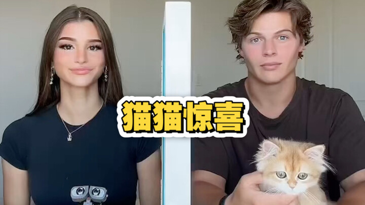 Điều bất ngờ tuyệt vời nhất thế giới 🥺🐈🥰