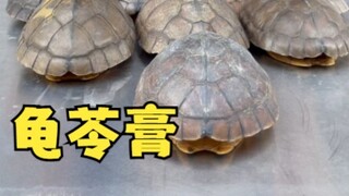 Does turtle jelly really contain turtles?