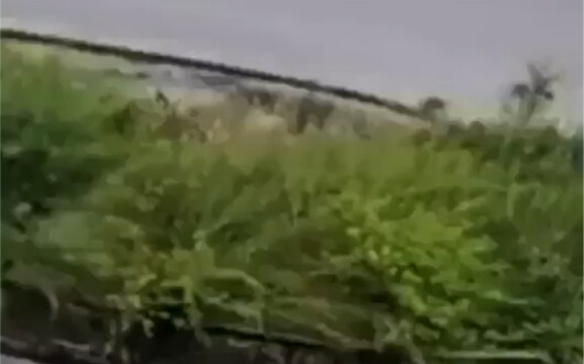 It’s so much like me and the person walking toward me.