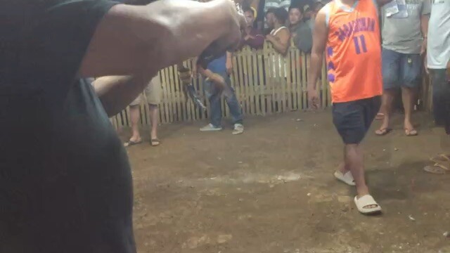 Pure Dan Gray 1x winner