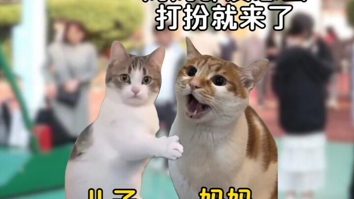 当知足凌驾于自卑之上，幸福将贯彻一生。#猫meme#猫meme日常#感动瞬间#成人礼#真实故事改编