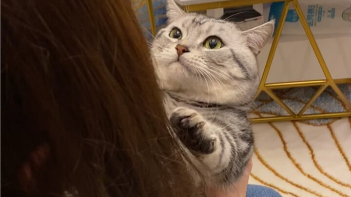 TD's Mom-Choosing Journey! Is Chen TD Finally Getting a Mom?