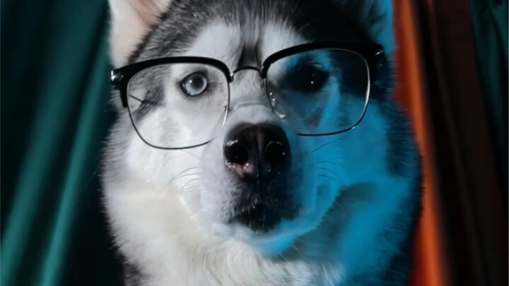 这成片全靠我高超的运镜技巧