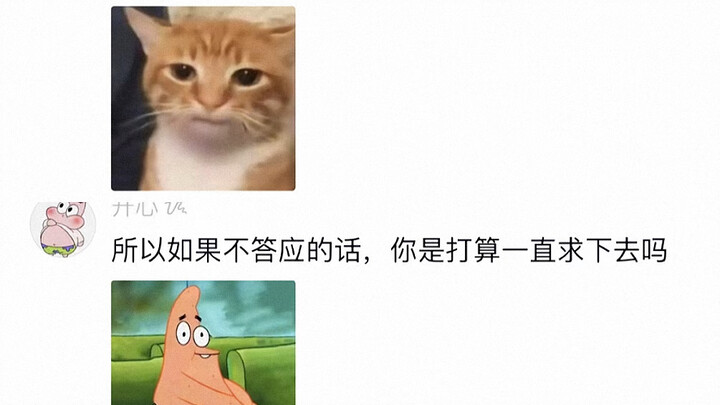 Tôi thực sự muốn nuôi một chú chó cỏ, ông bà chủ nhà liền bảo: “Cứ hỏi chúng tôi làm gì cho mệt”