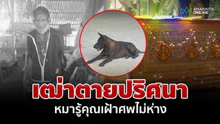 หมารักแสนซื่อสัตย์! เฝ้าร่างเจ้าของตายเปลือยปริศนาในบ้านพัก | อมรินทร์อัปเดต