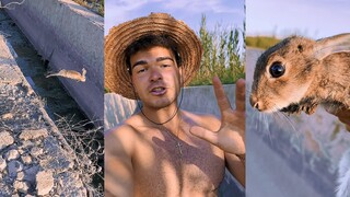 7 con thỏ được giải cứu