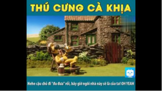 KHI THÚ CƯNG CÀ KHỊA #funny