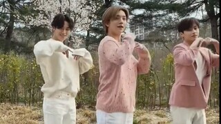 自用学舞 seventeen《darling》副歌镜面版