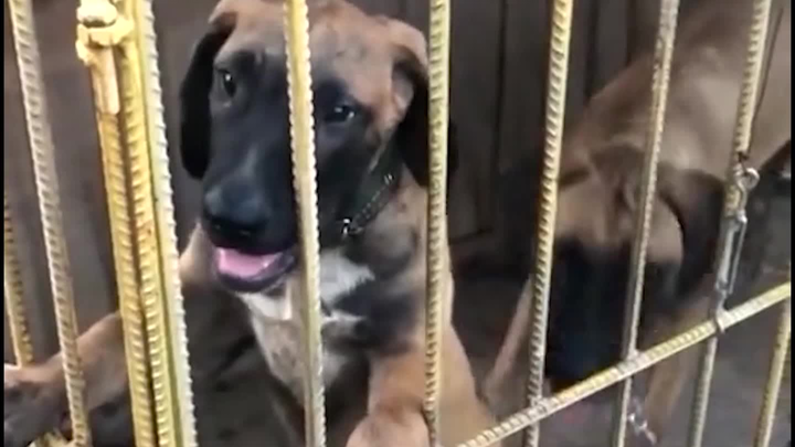 I’m not eating a single thing you’ve got.