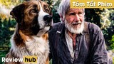 Review Hub: Tiếng Gọi Nơi Hoang Dã, Cuộc Phiêu Lưu Của Chú Chó Béo, Trở Thành Thủ Lĩnh Của Bầy Sói