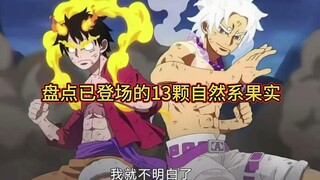 A look at the 13 supernatural fruits that have appeared! All of them have the power to destroy the w