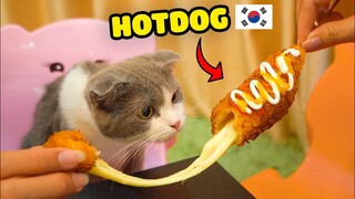 Làm món HOTDOG Phô Mai Hàn Quốc cùng các bé mèo | The Happy Pets #43