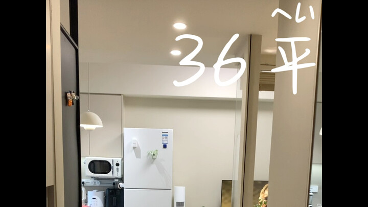 36 sqm for 2 people and 4 cats: the dream home