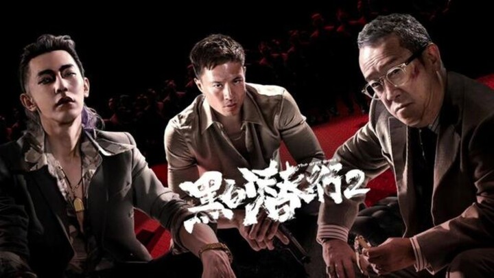 🇨🇳  黑白潛行2  The Grey Men 2  2025