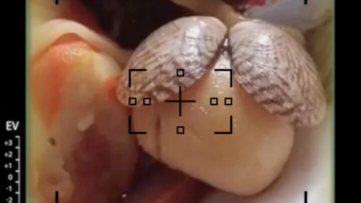 [Xiao Heizi's Abstract Lesson 2] He is not in this city, yet it seems like he is everywhere.