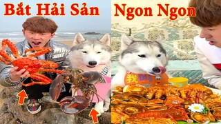 Thú Cưng TV | Gia Đình Gâu Đần #28 | Chó Golden thông minh vui nhộn | Pets funny cute dog