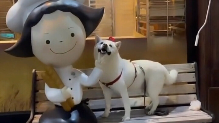 "The world is in tatters, and the puppy mends it."