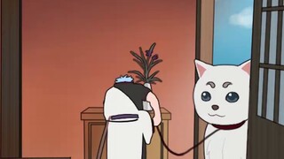 Sadaharu wants to play Sadaharu is good, Gintoki is naked Gintoki is bad