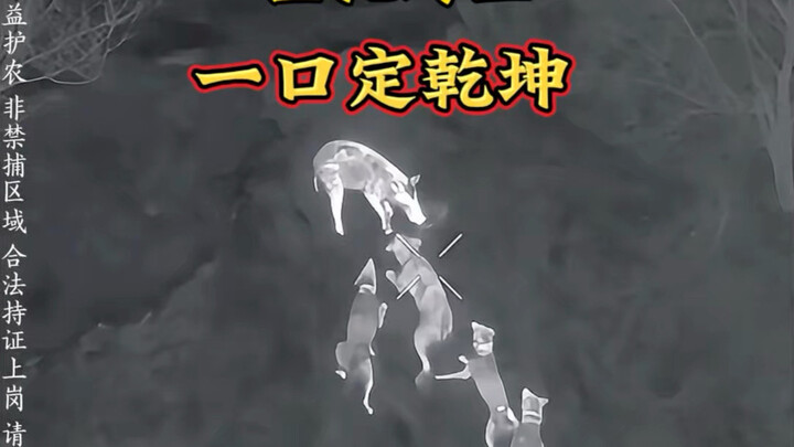 Bảo vệ mùa xuân, hộ vệ nông nghiệp: Giao hàng siêu tốc!